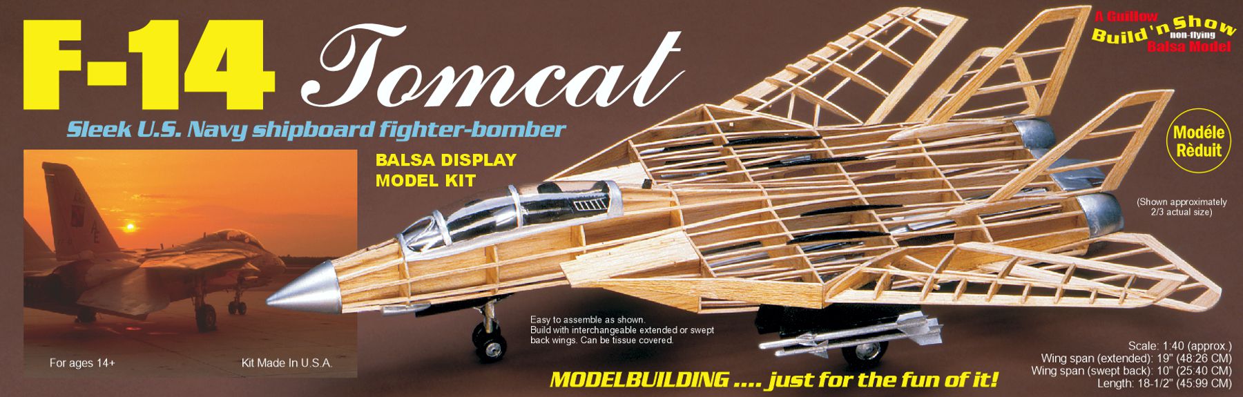 F-14 Tomcat - Image 11