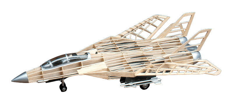 F-14 Tomcat