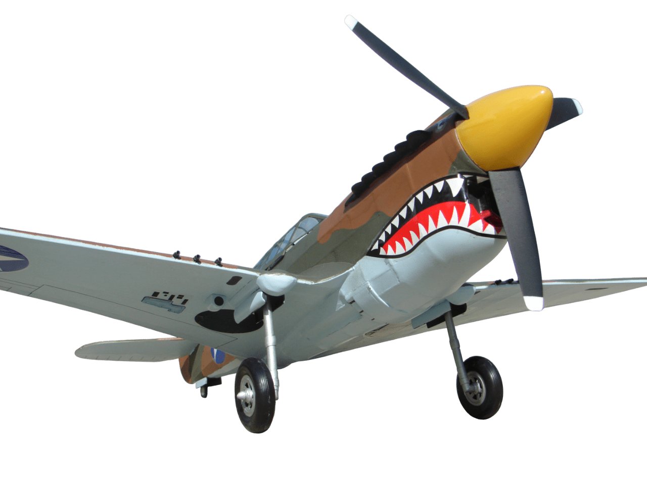 P-40 Warhawk.