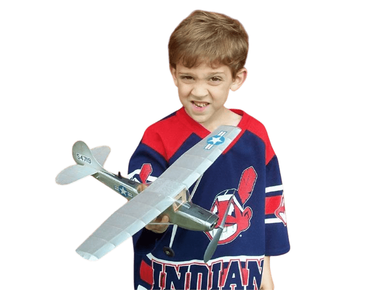 Cessna Bird Dog - Image 4