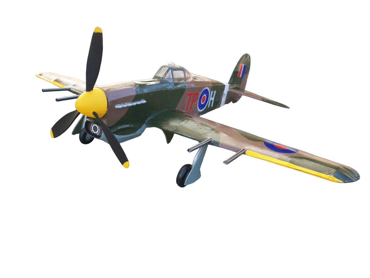 Typhoon - Image 5