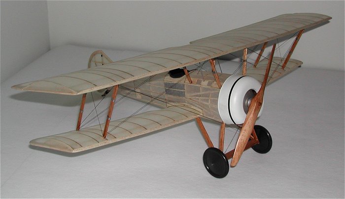Thomas Morse Scout - Image 5