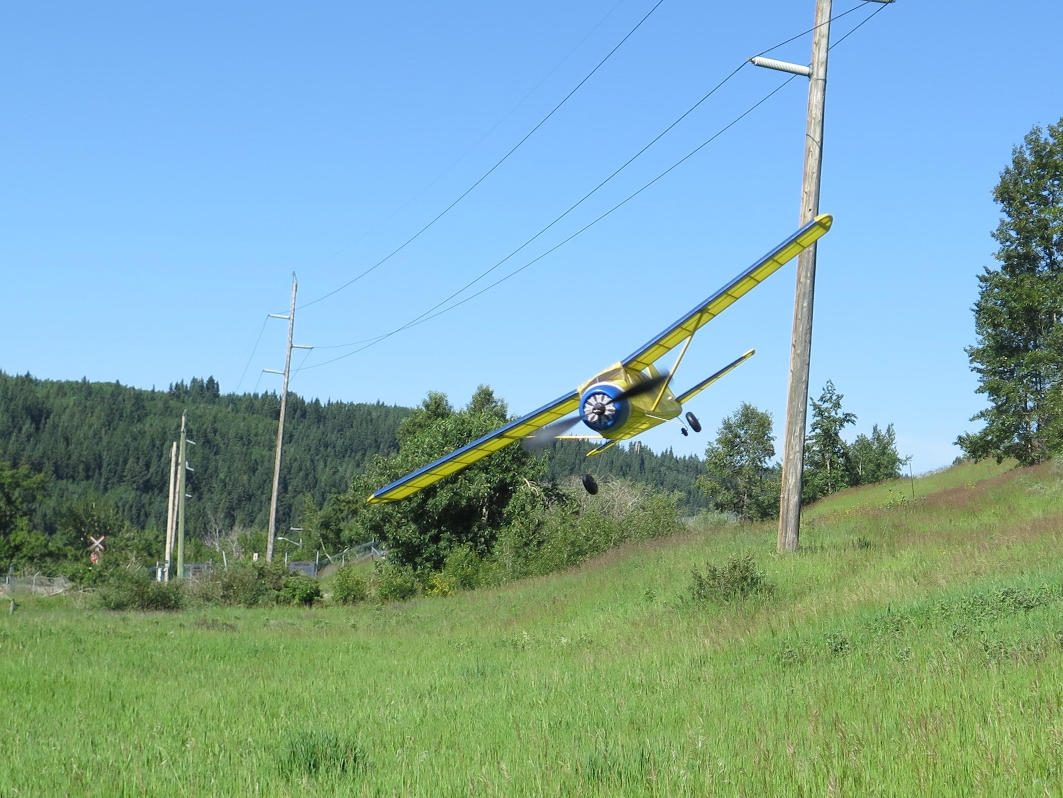 DHC-2 Beaver - Image 15