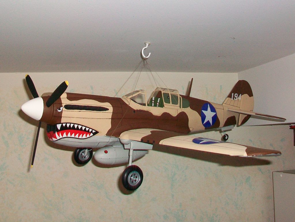 P-40 Warhawk. - Image 7