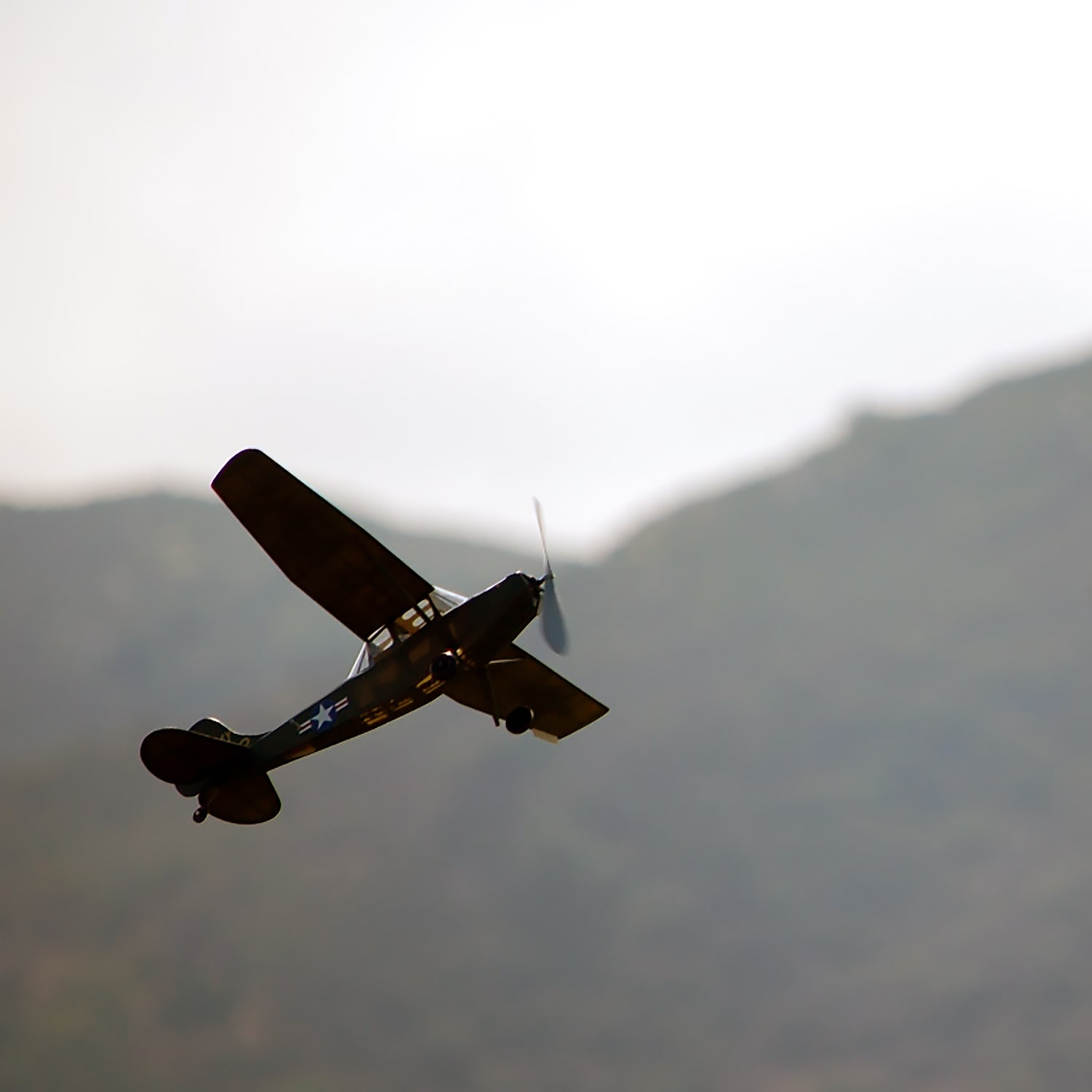 Cessna Bird Dog - Image 10