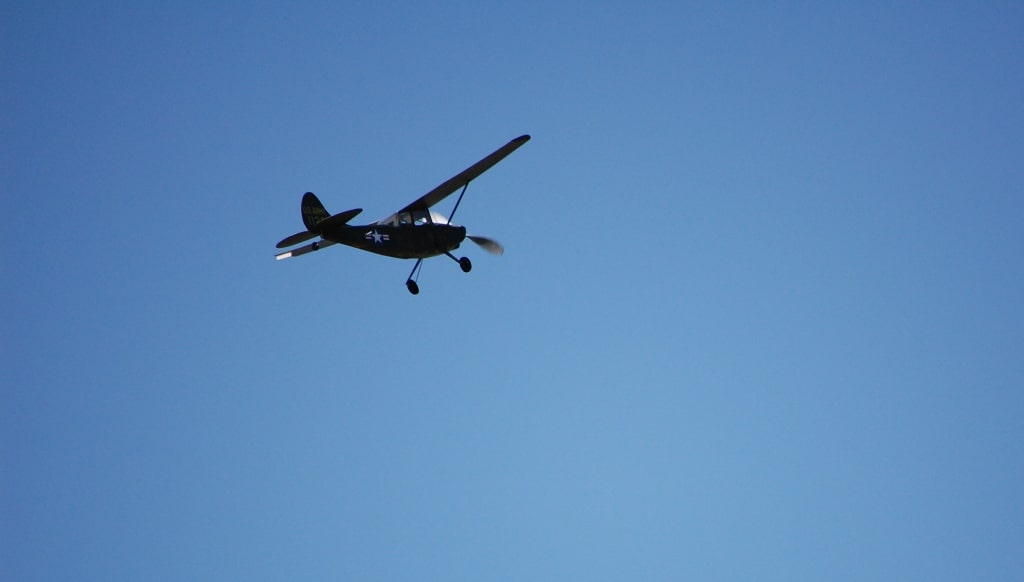 Cessna Bird Dog - Image 9