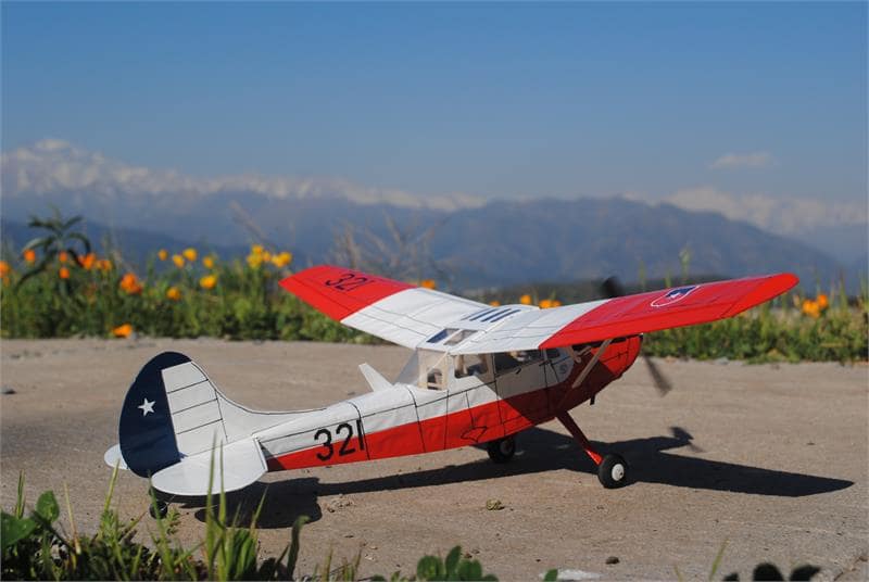 Cessna Bird Dog - Image 12